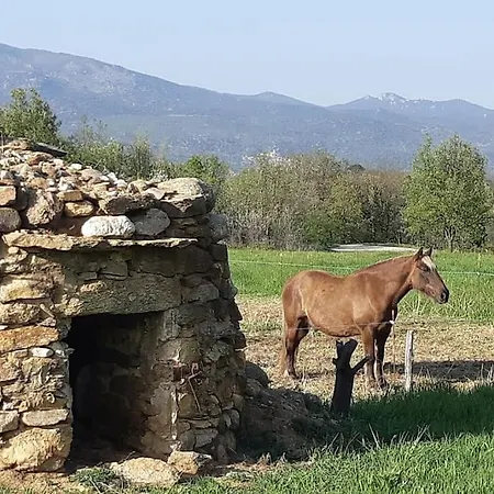 Nyaraló De Nogarols Prades