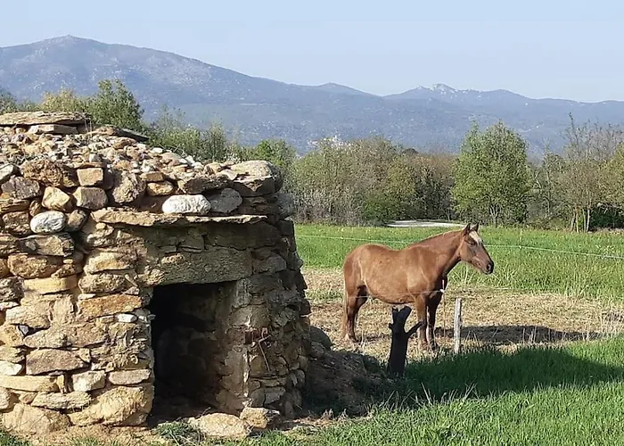 Casa de Férias De Nogarols Prades (Pyrenees-Orientales)